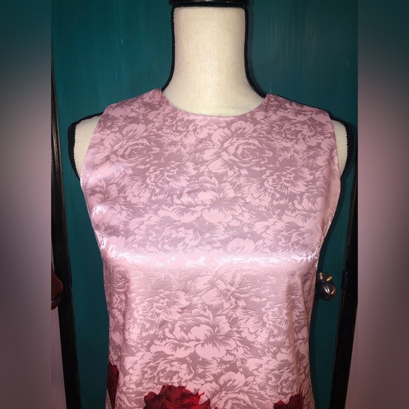 Baby Pink Red Rose Shift Dress 🌹 - Picture 13 of 15